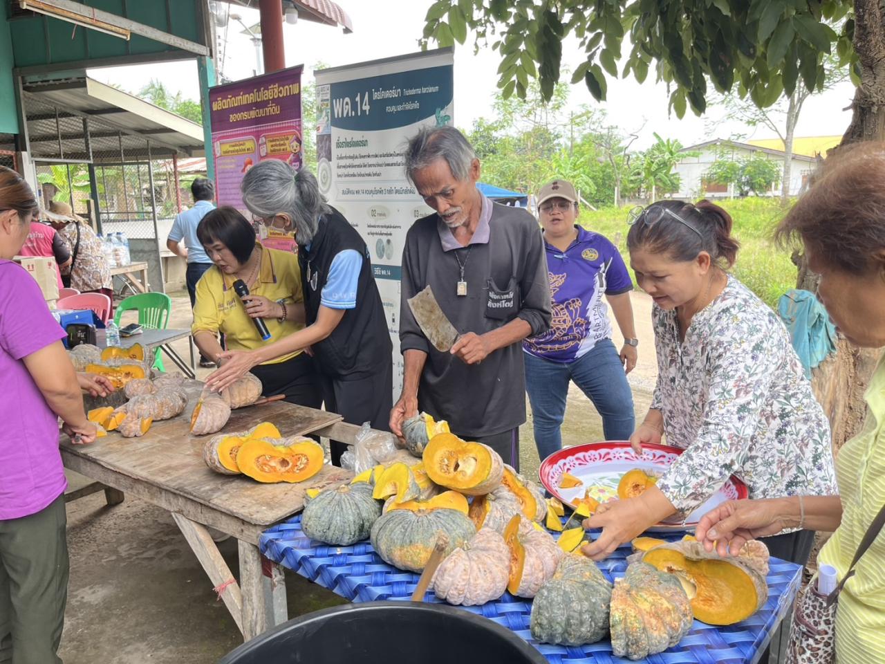 ภาพประกอบที่ 7