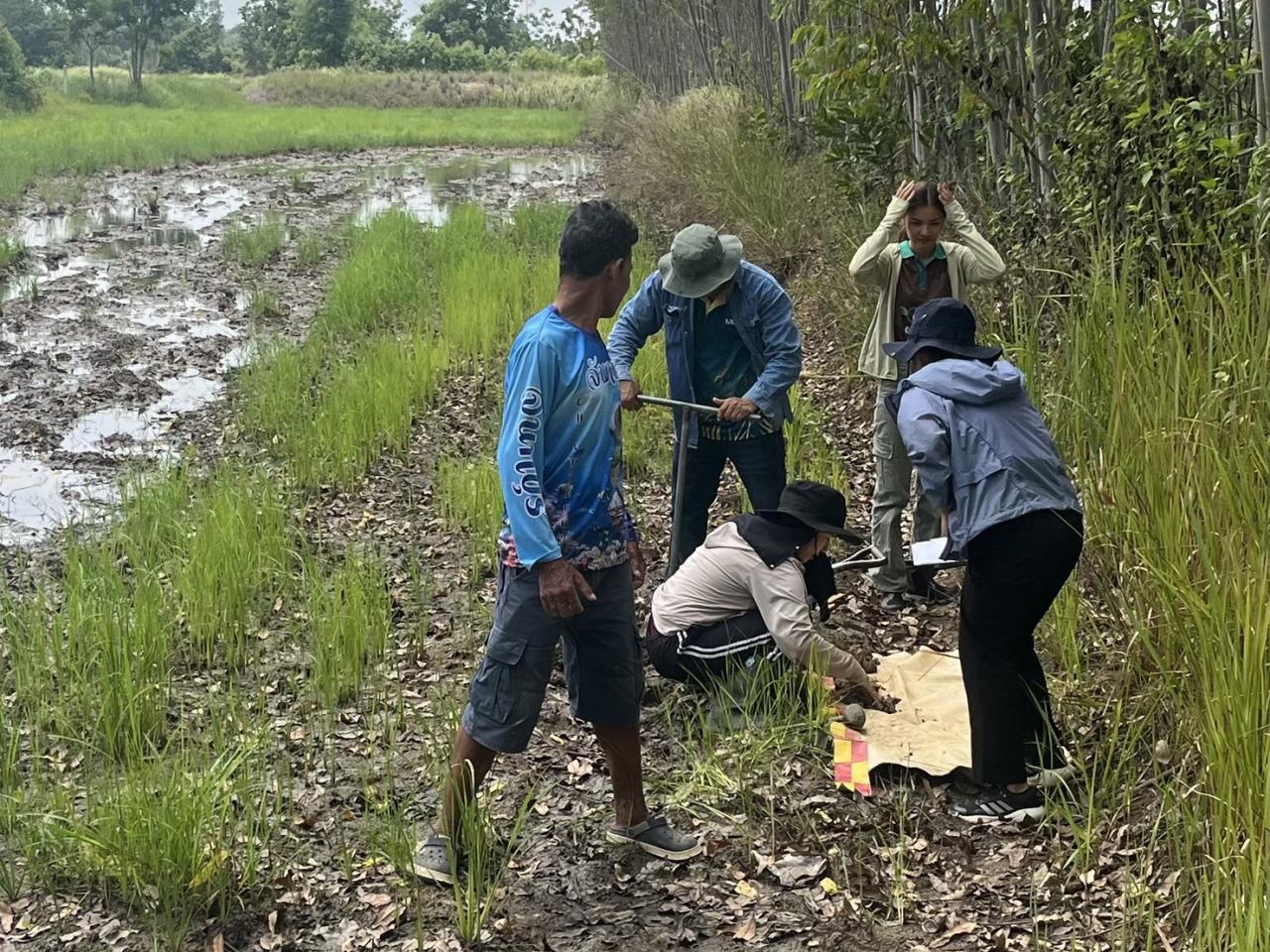 ภาพประกอบที่ 2