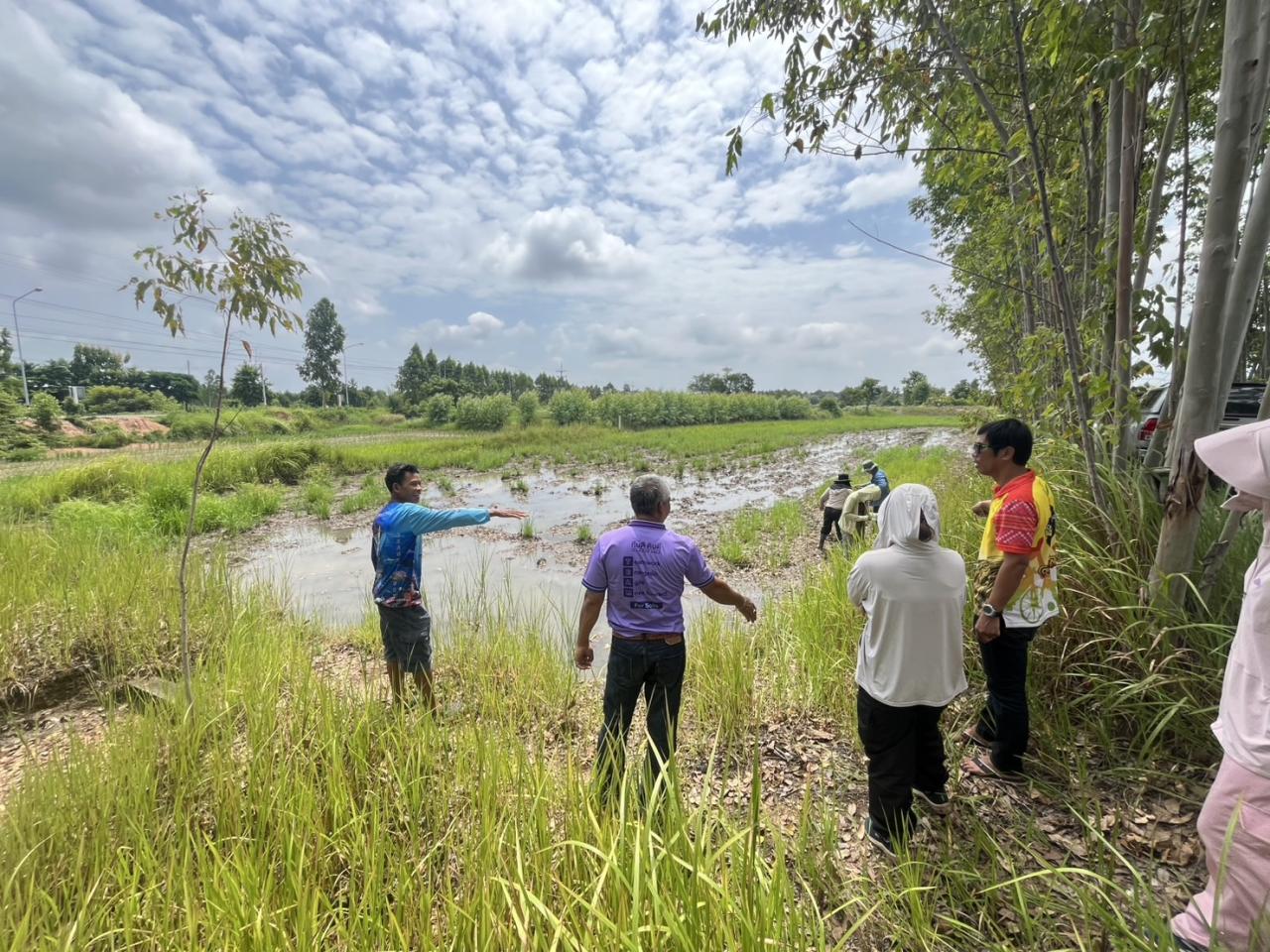 ภาพประกอบที่ 4