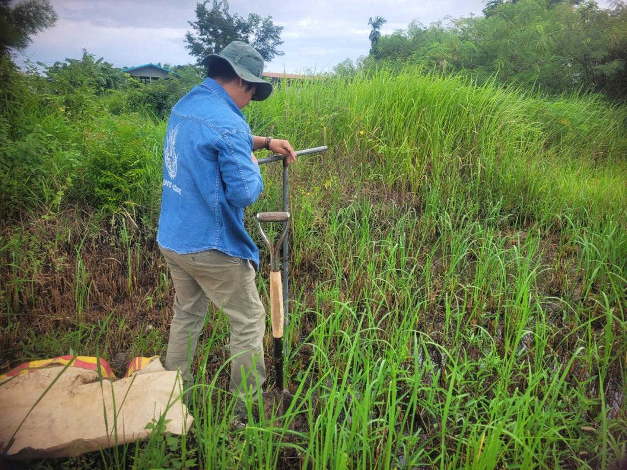 ภาพประกอบที่ 1