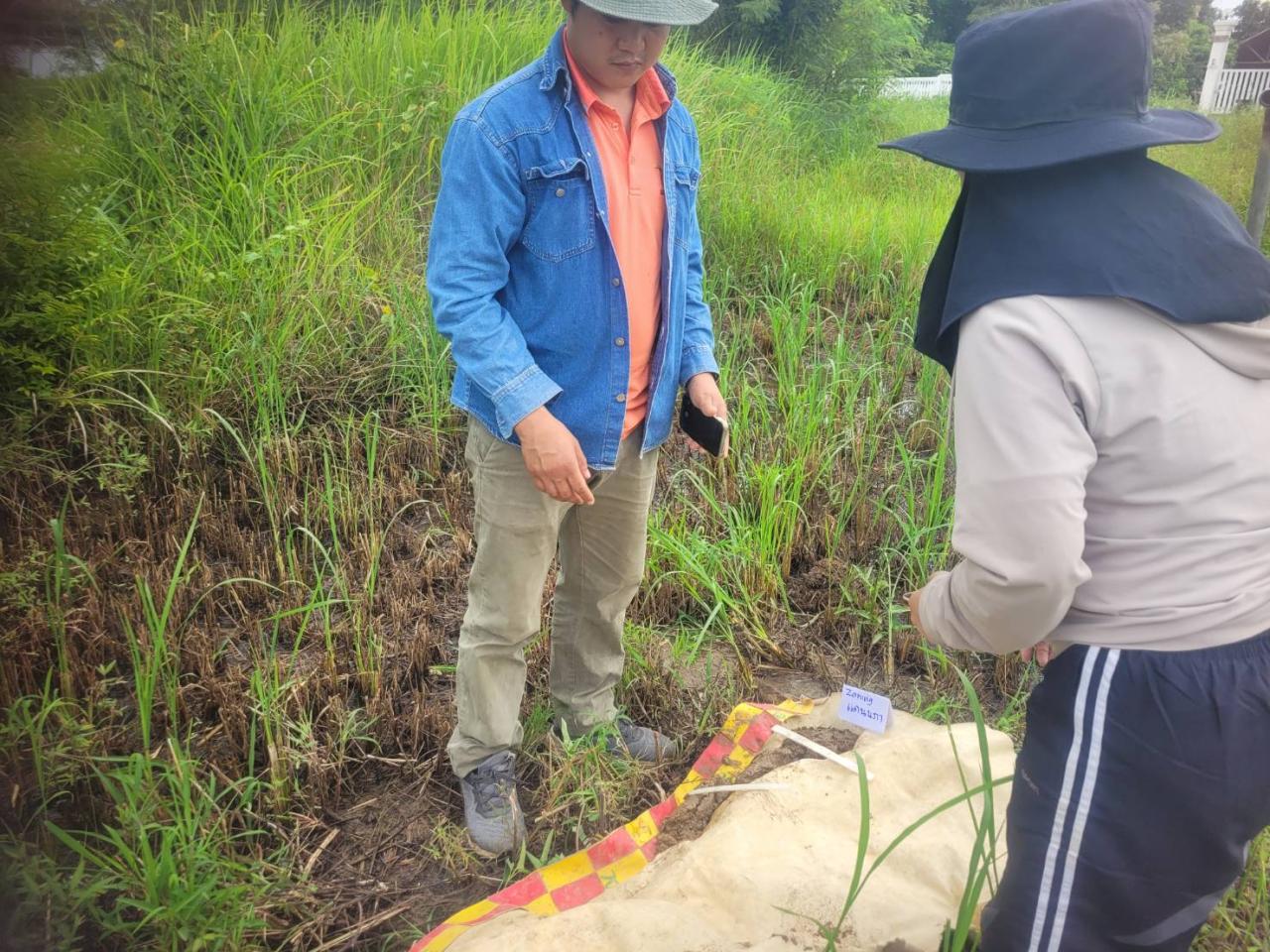 ภาพประกอบที่ 2