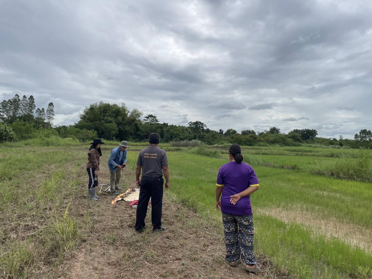 ภาพประกอบที่ 1