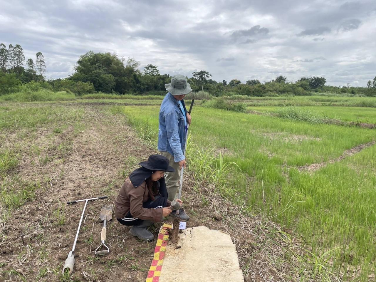 ภาพประกอบที่ 2