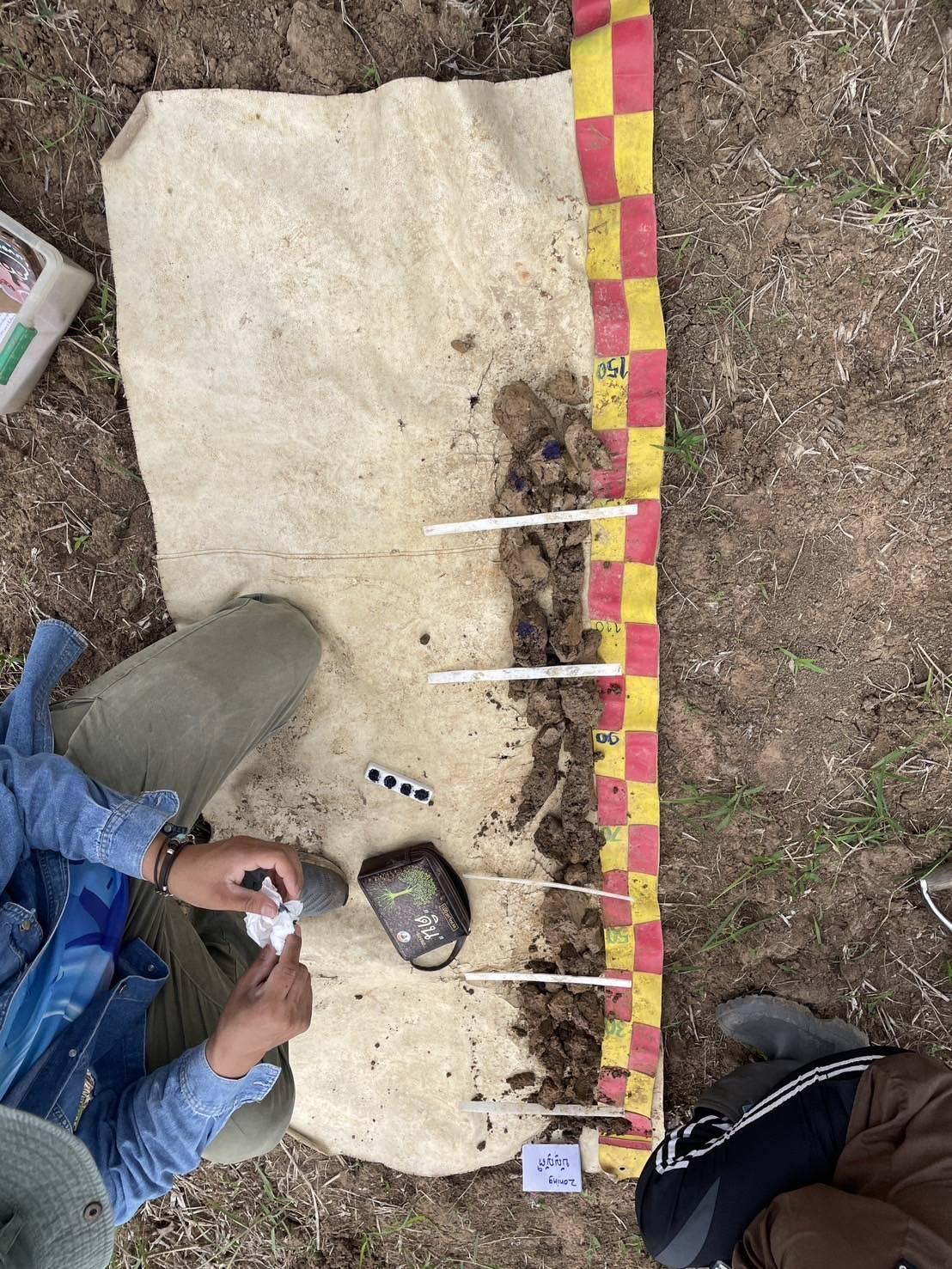 ภาพประกอบที่ 3