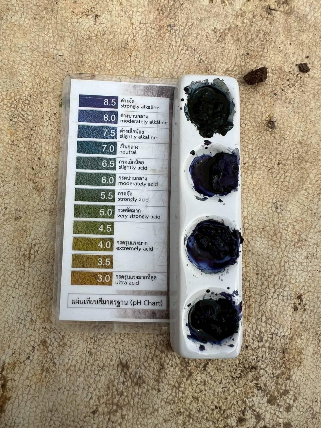 ภาพประกอบที่ 4