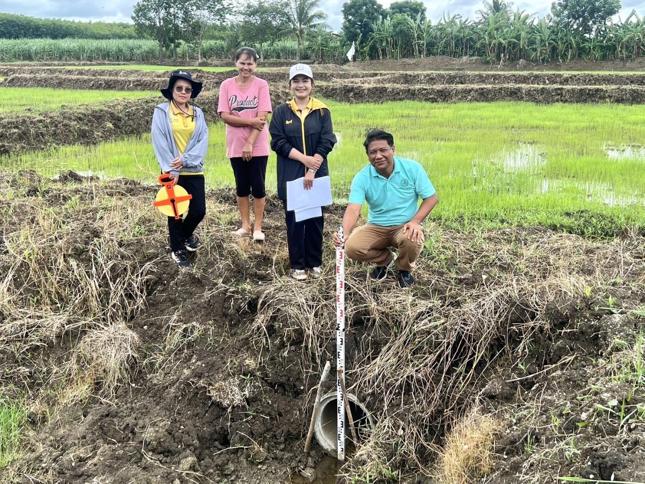 ภาพประกอบที่ 1