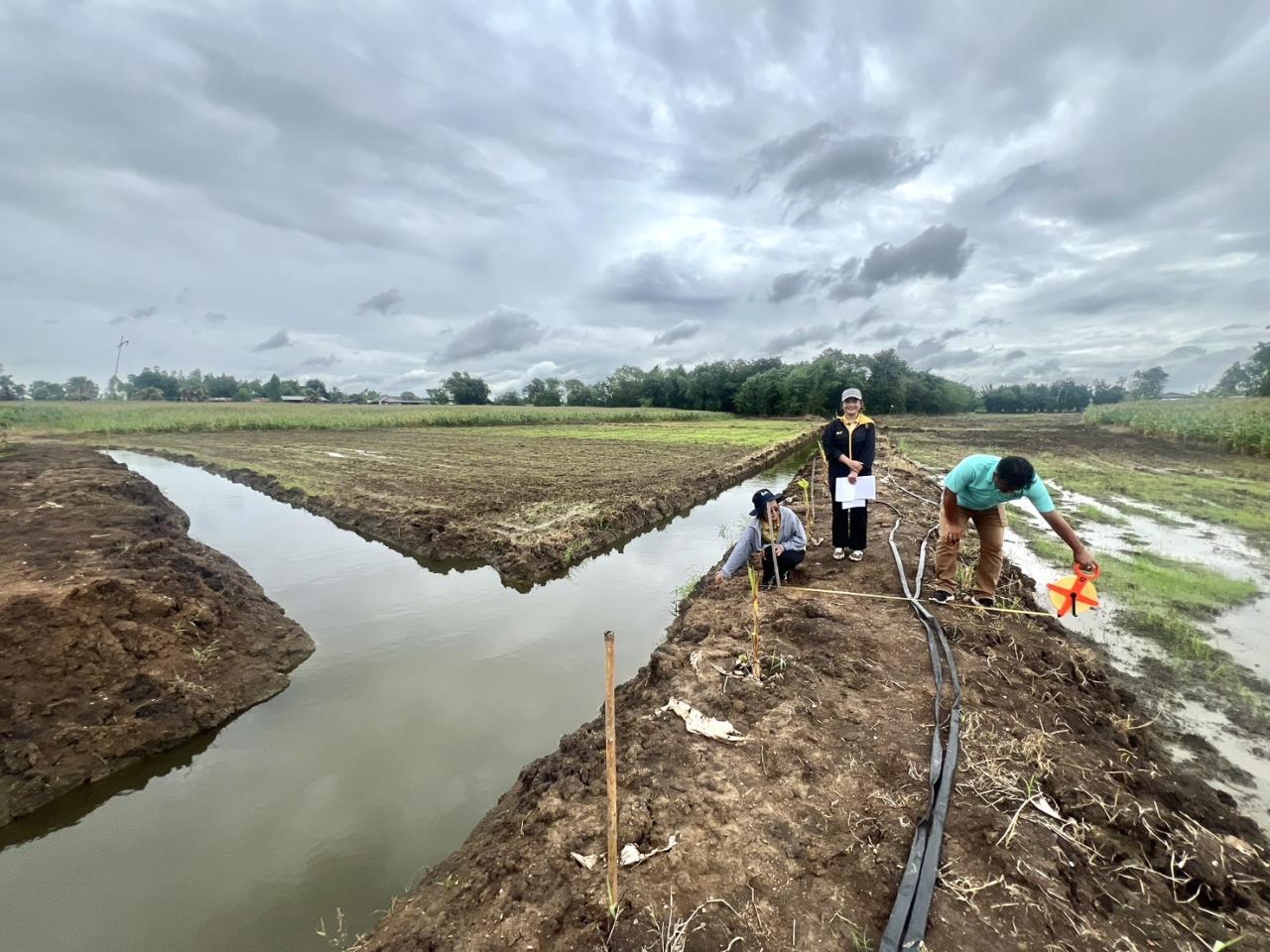 ภาพประกอบที่ 2