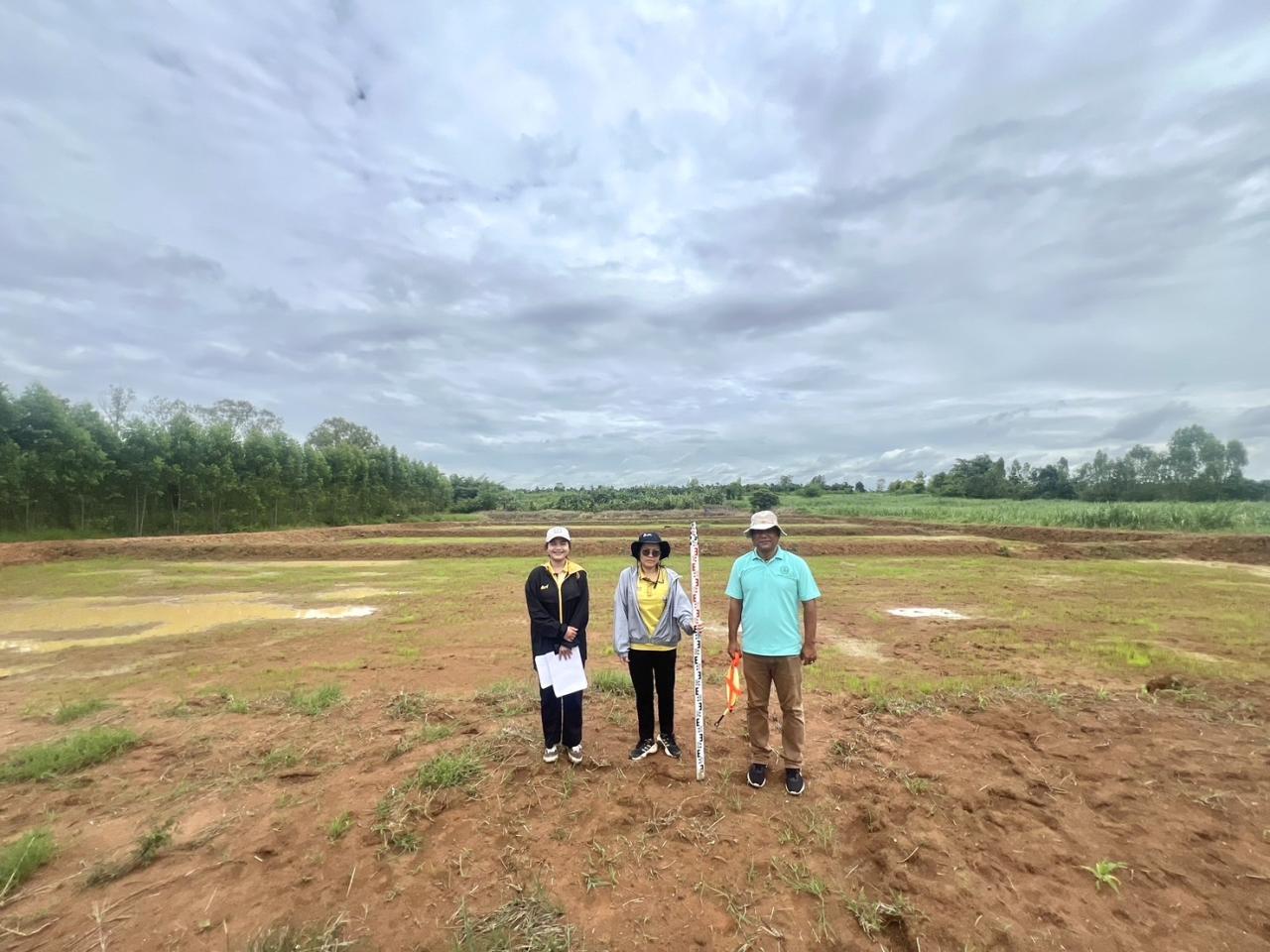 ภาพประกอบที่ 3