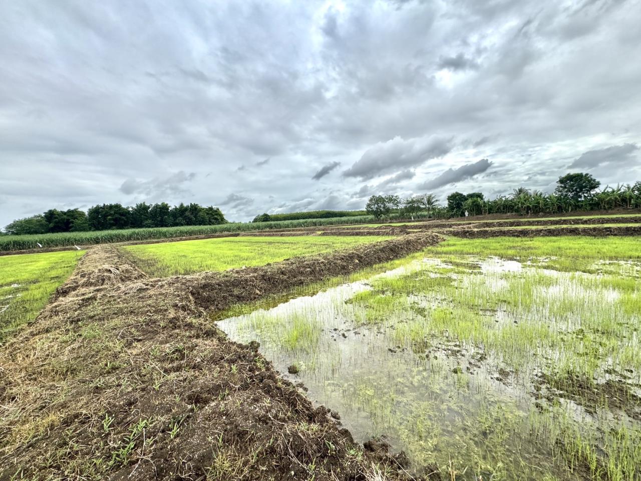 ภาพประกอบที่ 6