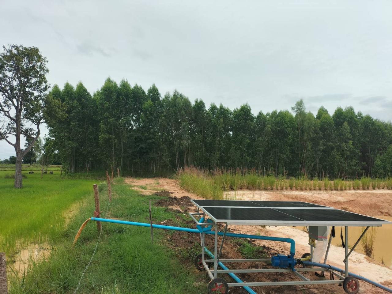 ภาพประกอบที่ 1