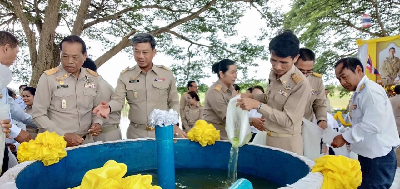 ภาพประกอบที่ 5