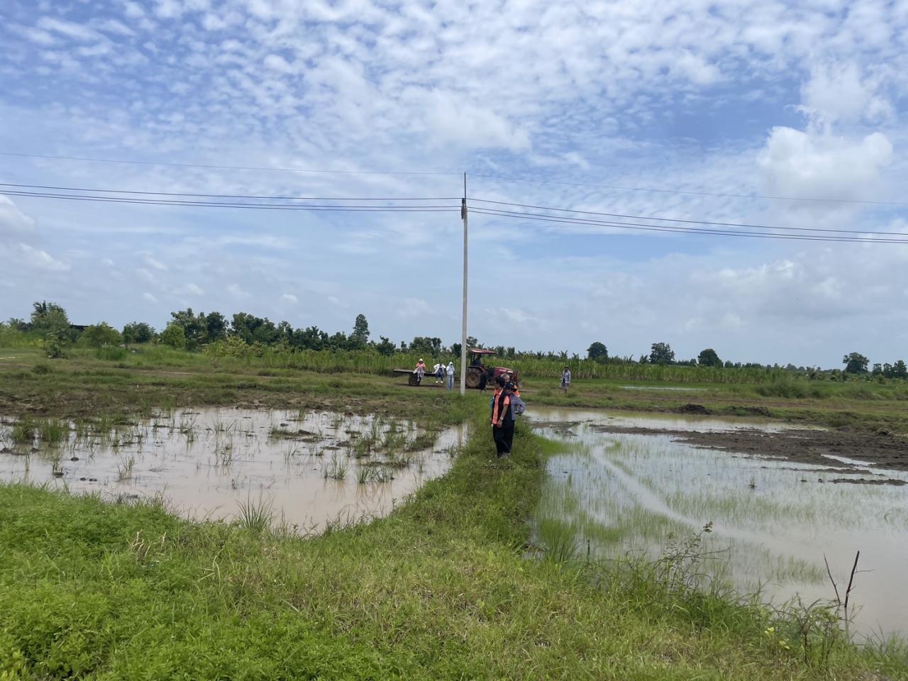 ภาพประกอบที่ 2