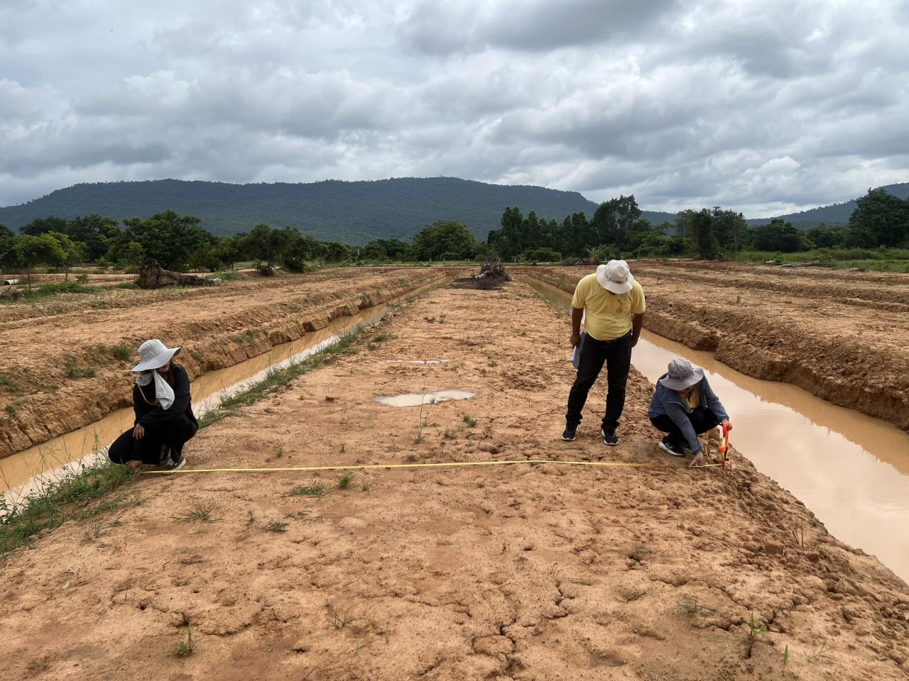 ภาพประกอบที่ 0