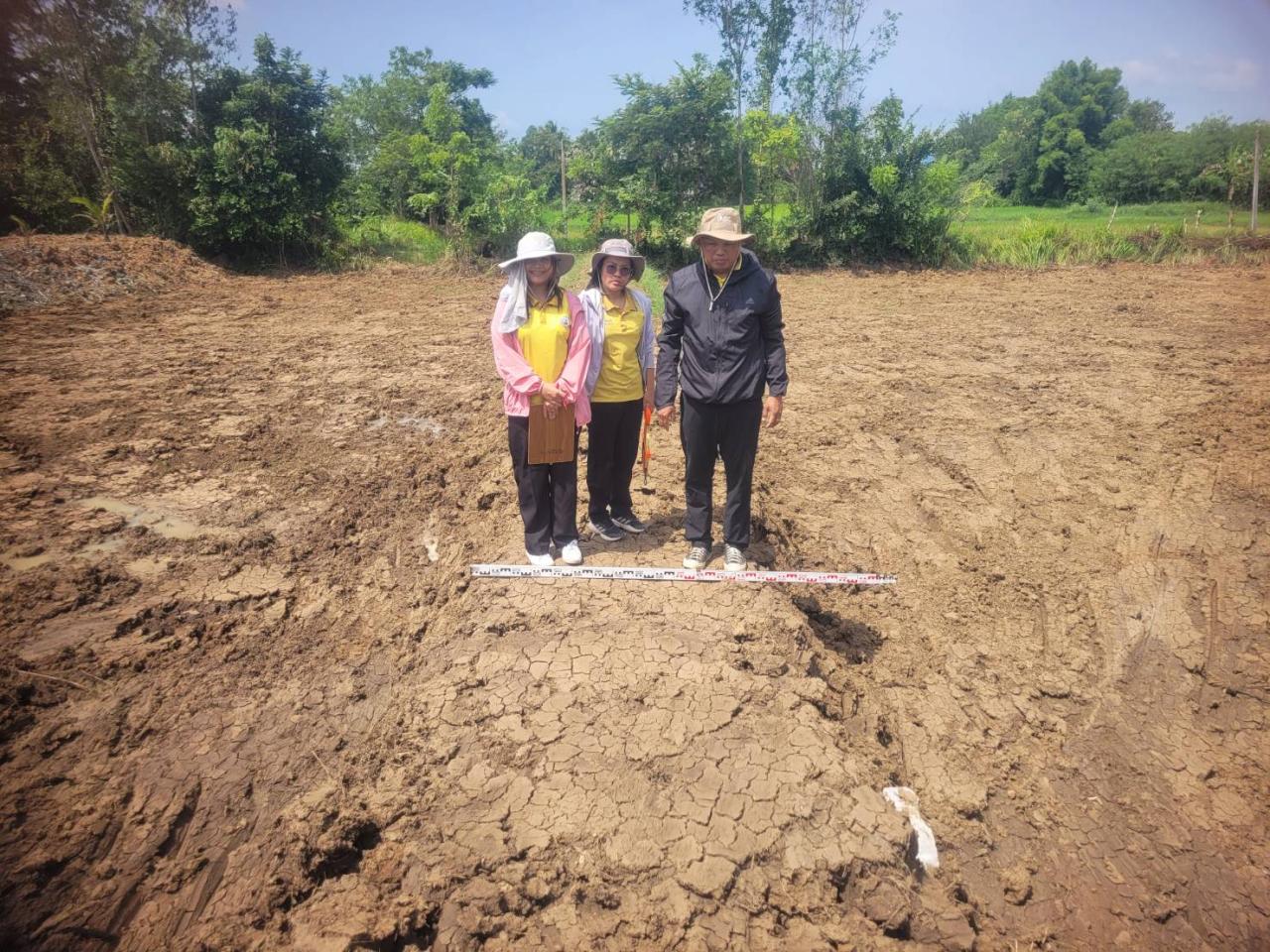 ภาพประกอบที่ 1