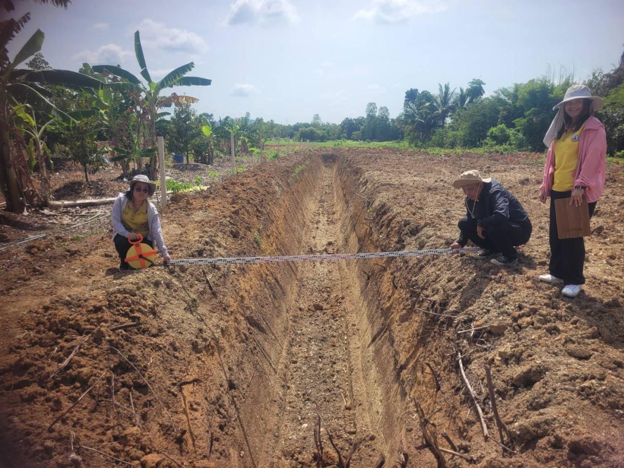 ภาพประกอบที่ 3