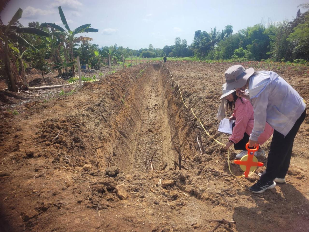 ภาพประกอบที่ 4
