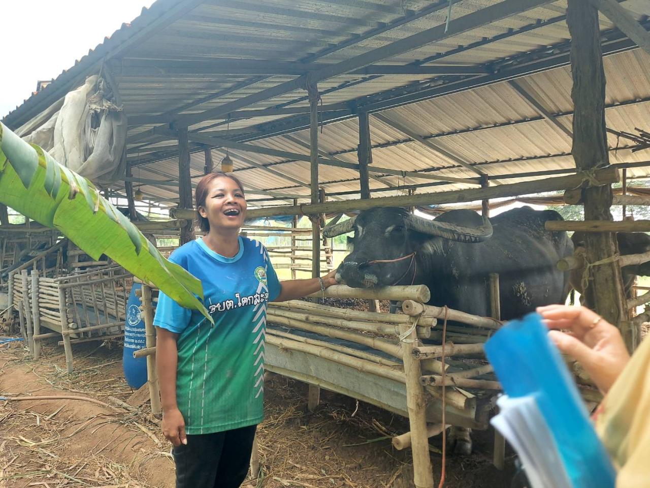 ภาพประกอบที่ 4