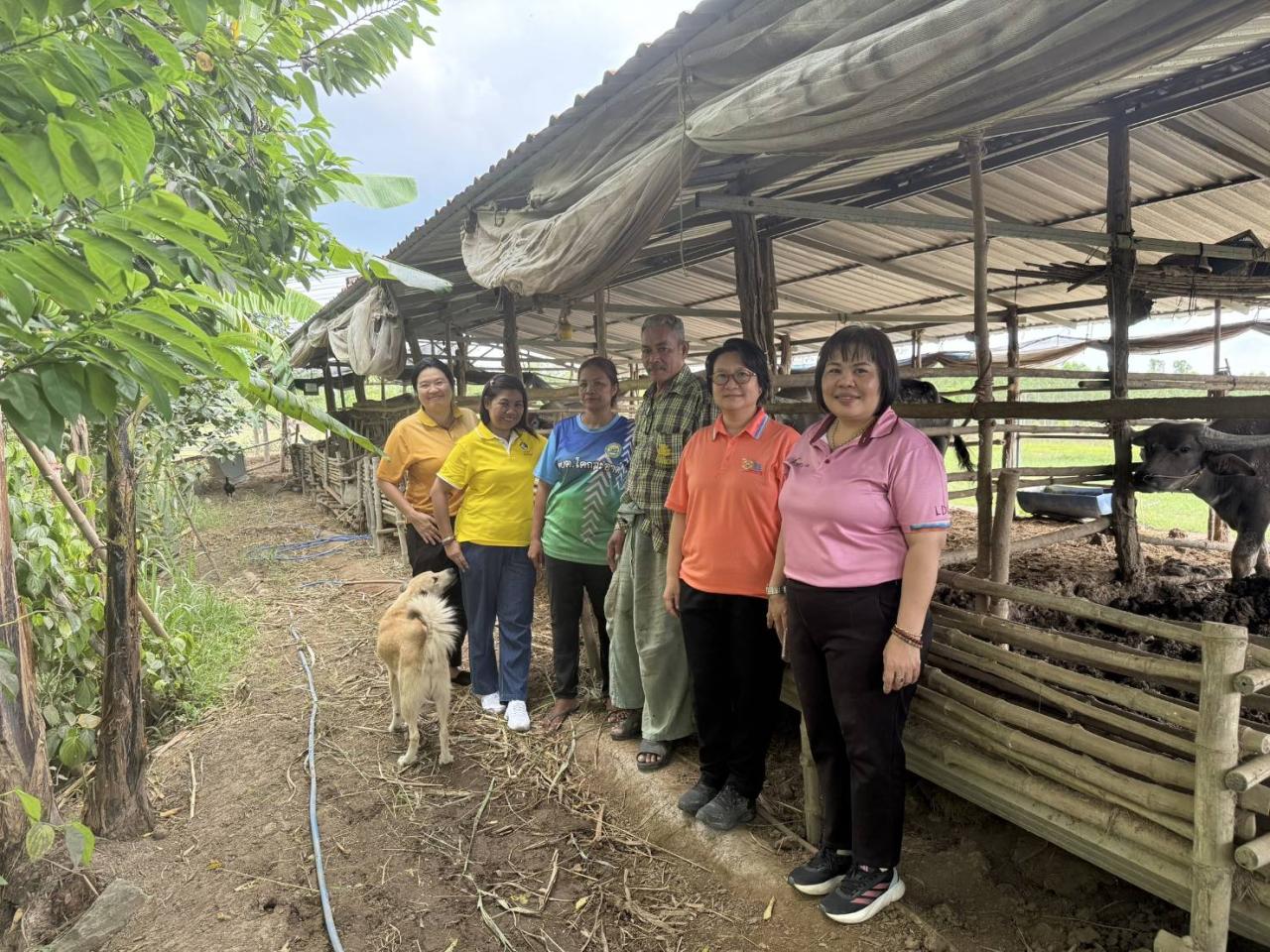 ภาพประกอบที่ 7