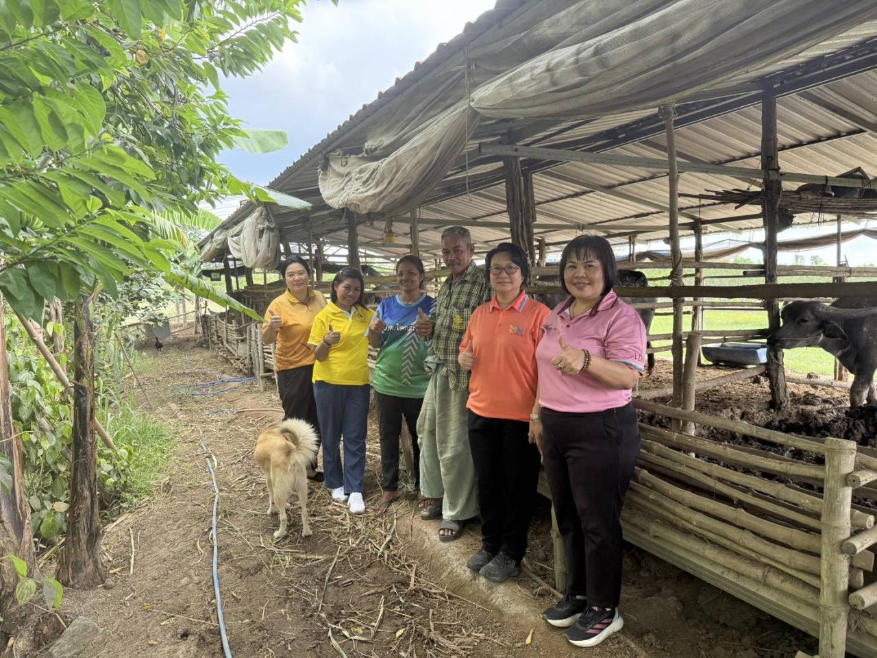 ภาพประกอบที่ 8