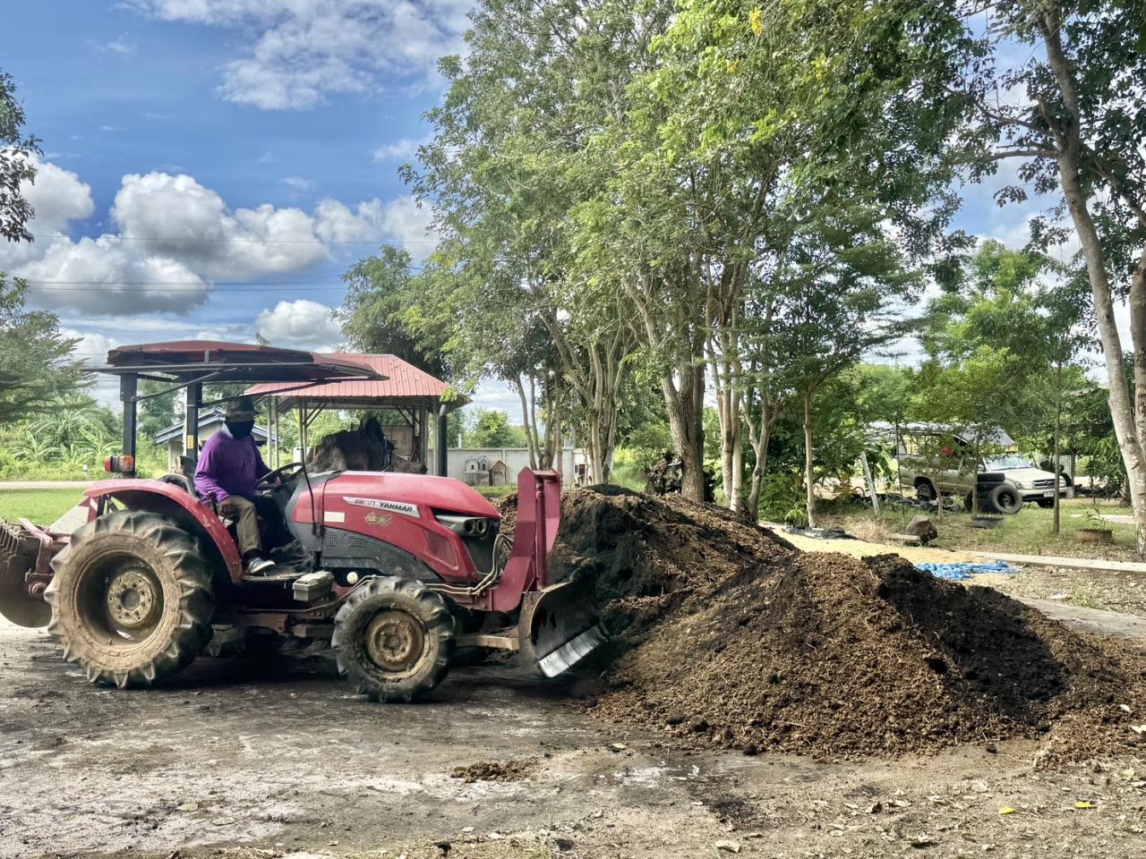 ภาพประกอบที่ 4