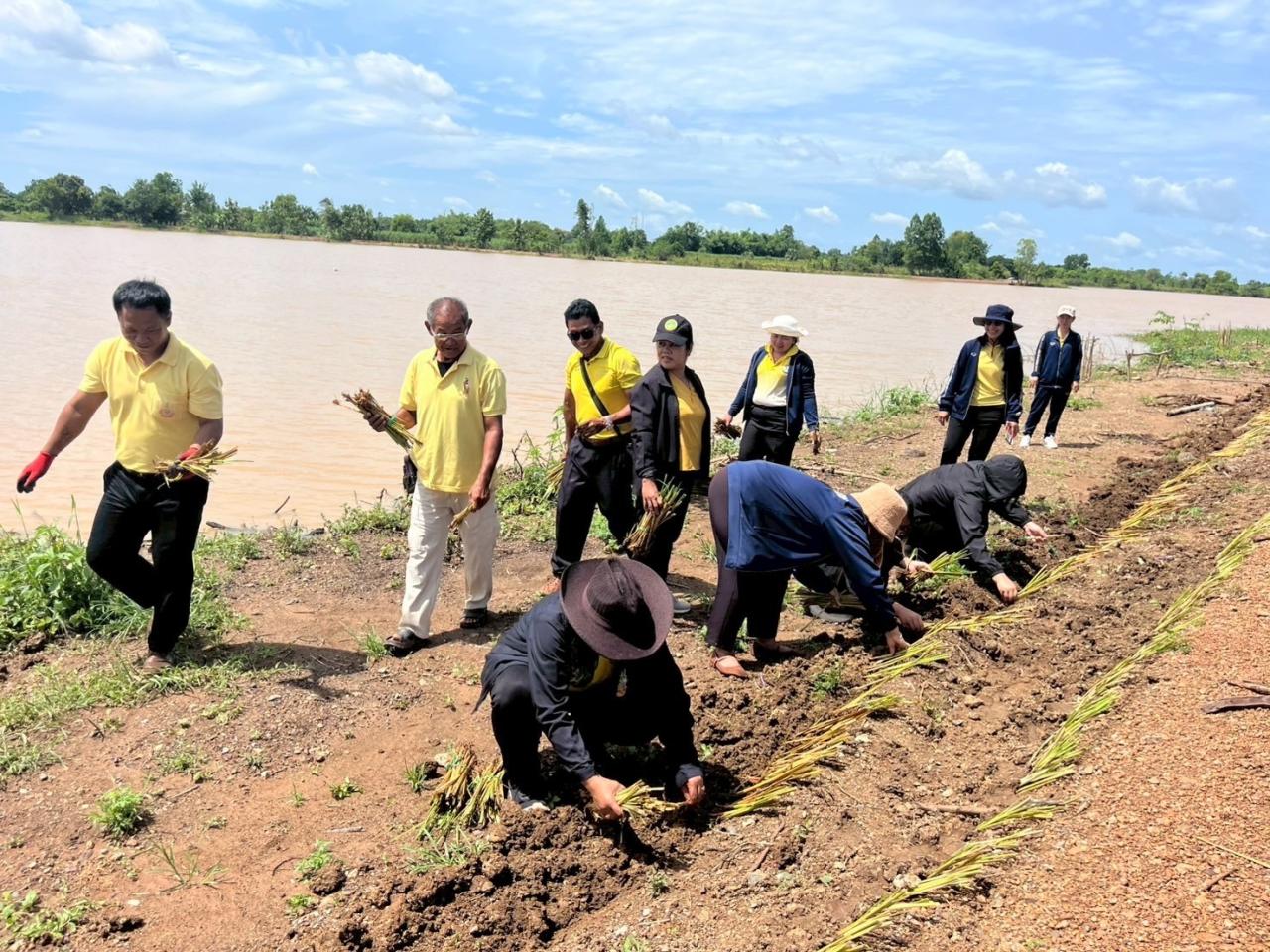ภาพประกอบที่ 0