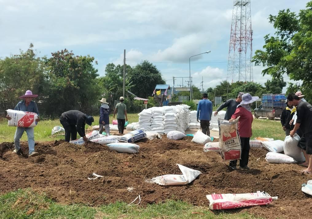 ภาพประกอบที่ 2