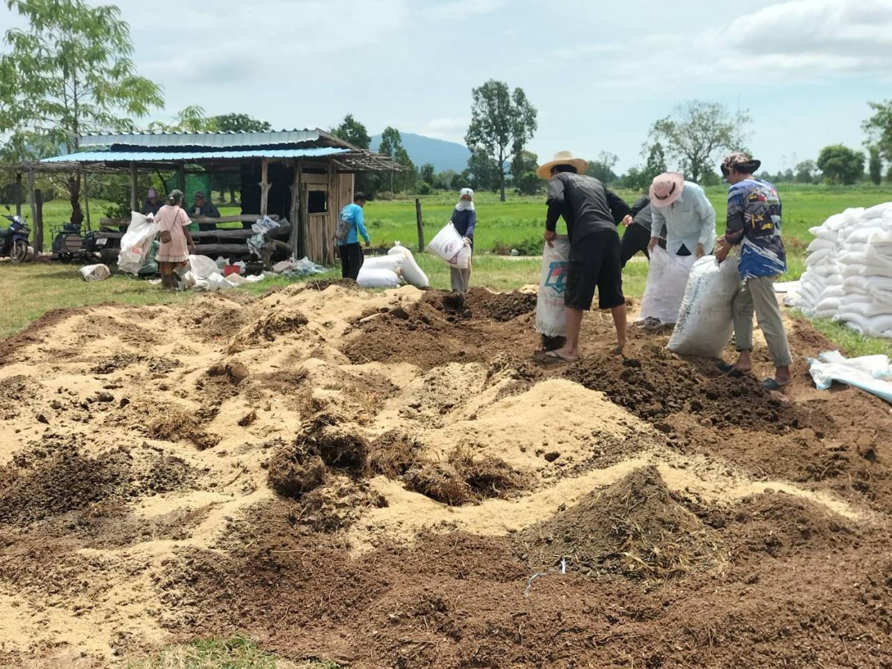 ภาพประกอบที่ 3