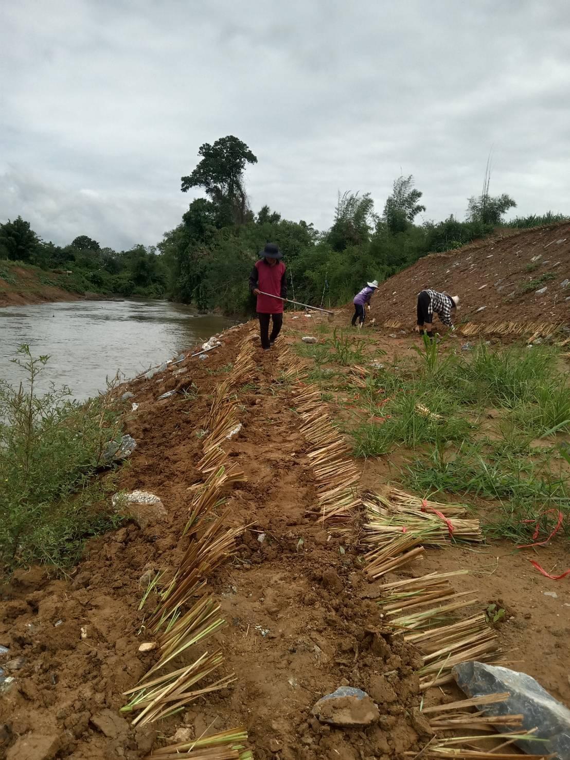 ภาพประกอบที่ 0