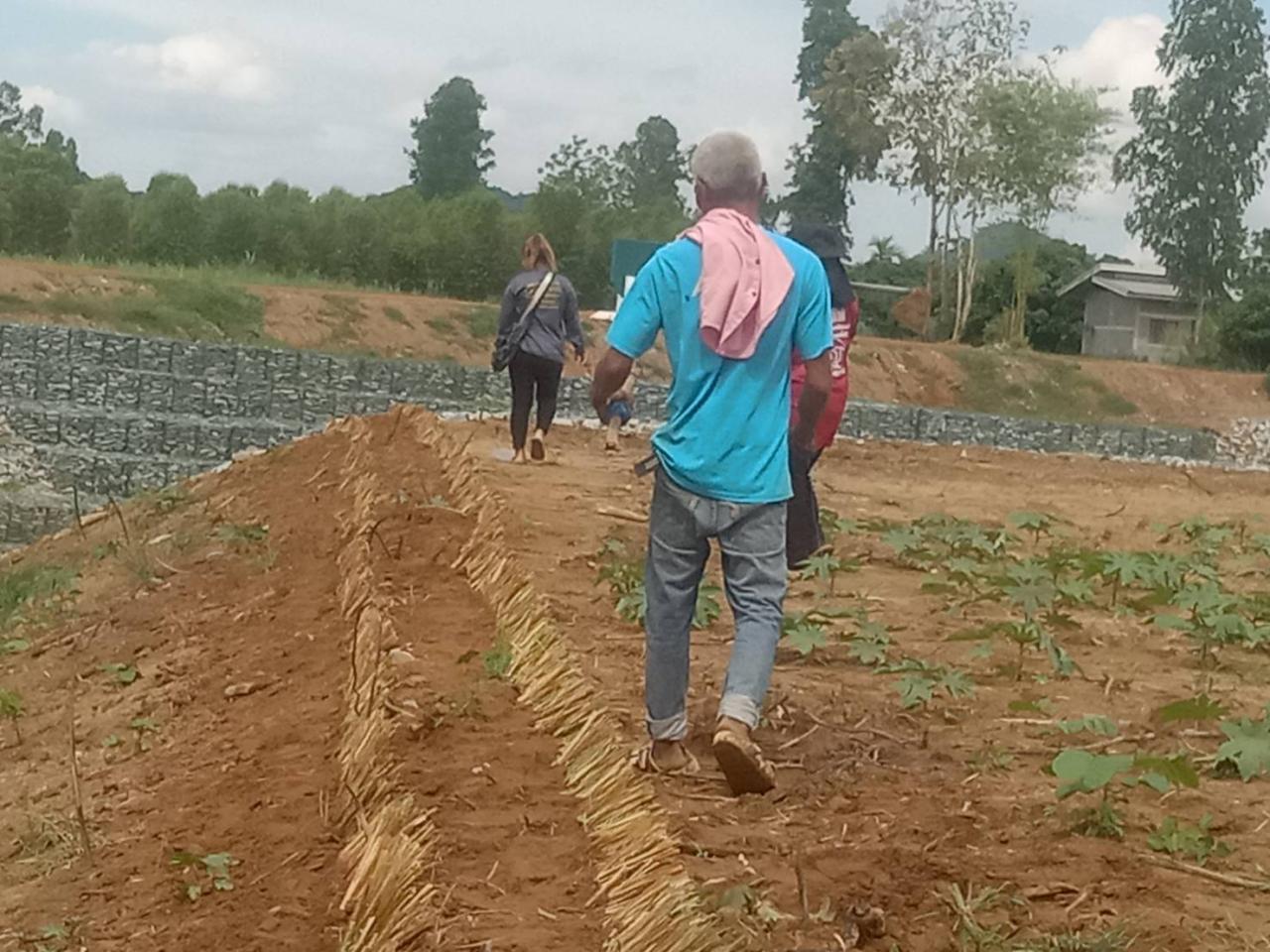 ภาพประกอบที่ 2