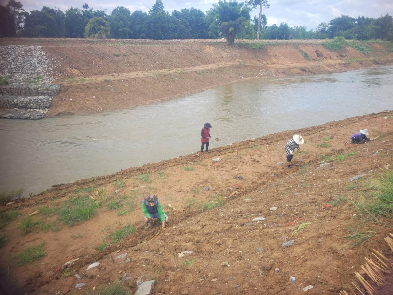 ภาพประกอบที่ 5