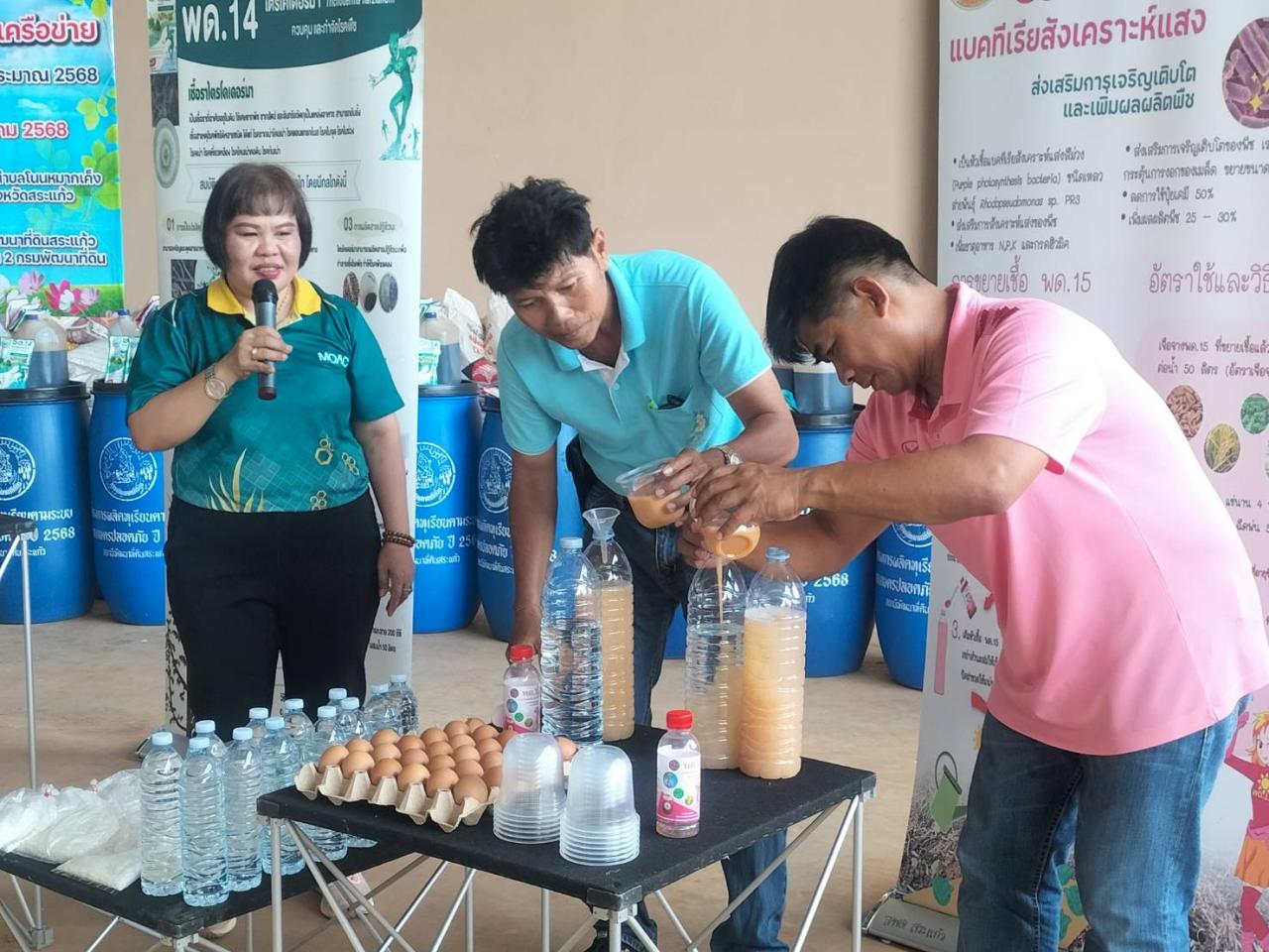 ภาพประกอบที่ 11