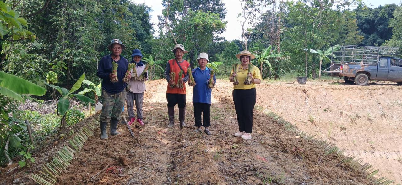 ภาพประกอบที่ 0