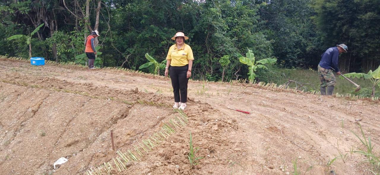 ภาพประกอบที่ 2