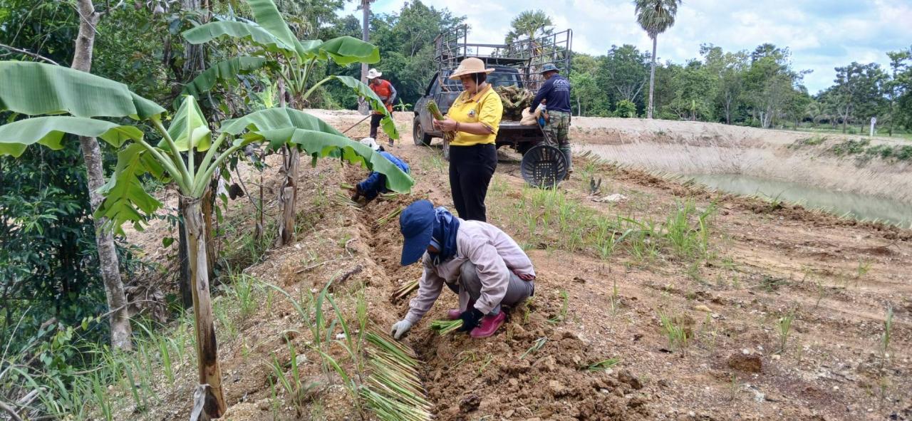 ภาพประกอบที่ 3