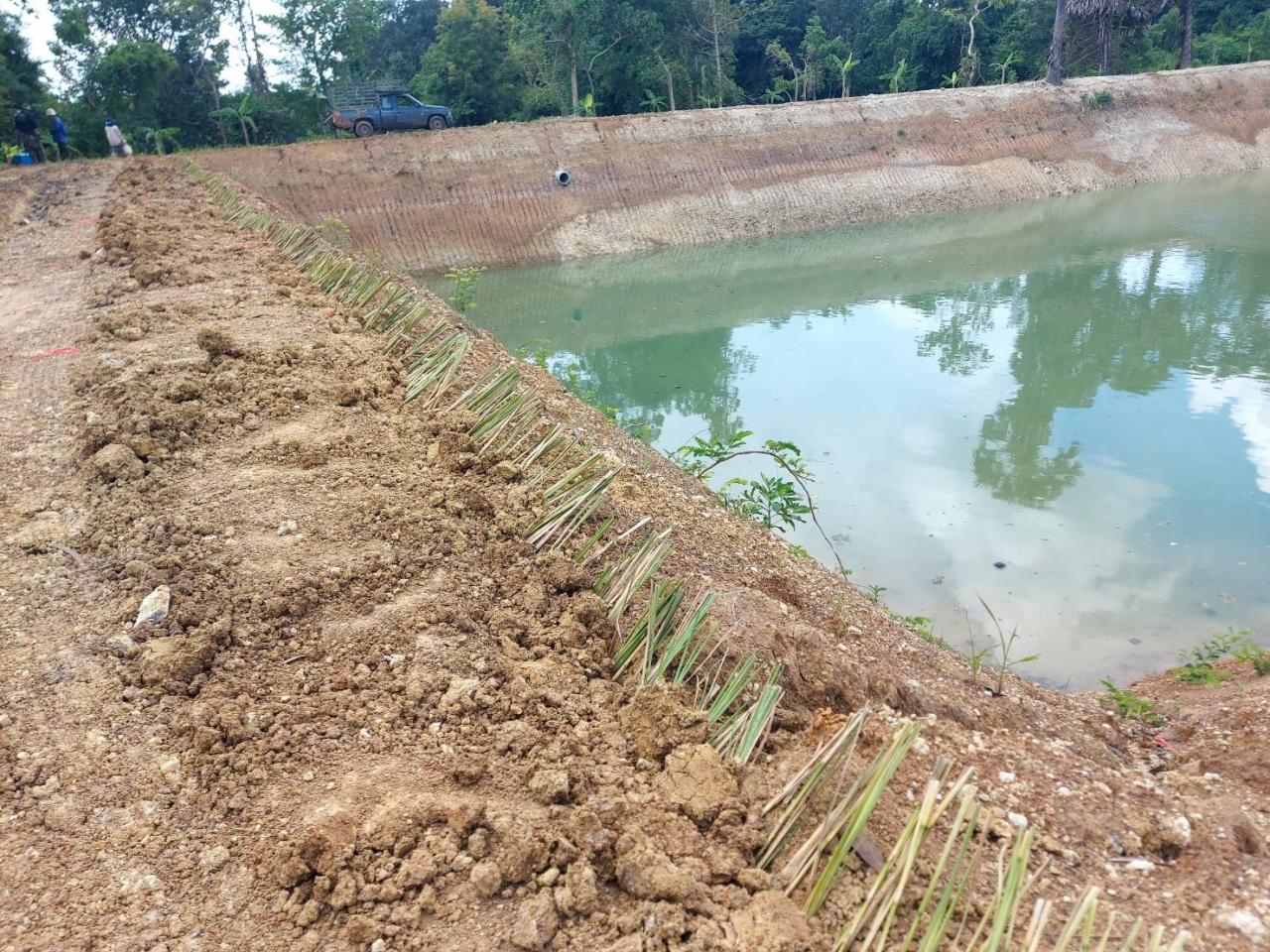 ภาพประกอบที่ 7