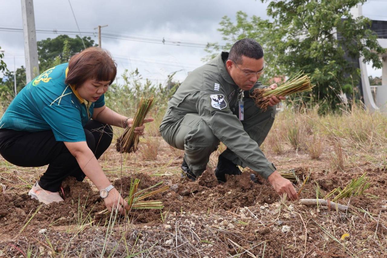 ภาพประกอบที่ 0