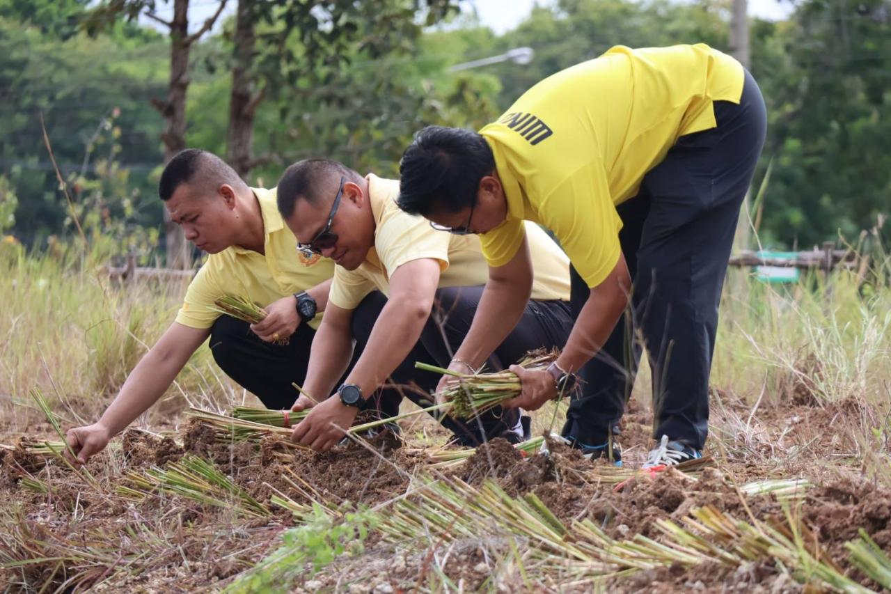ภาพประกอบที่ 3