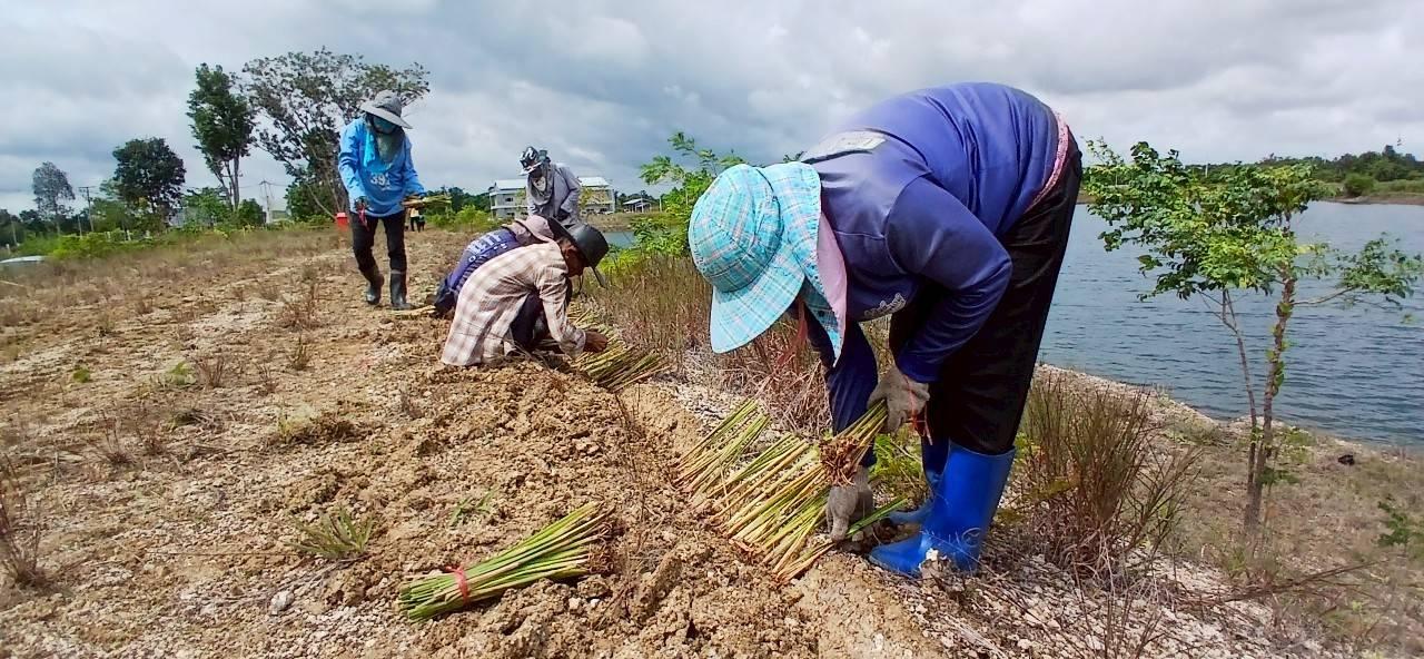 ภาพประกอบที่ 5