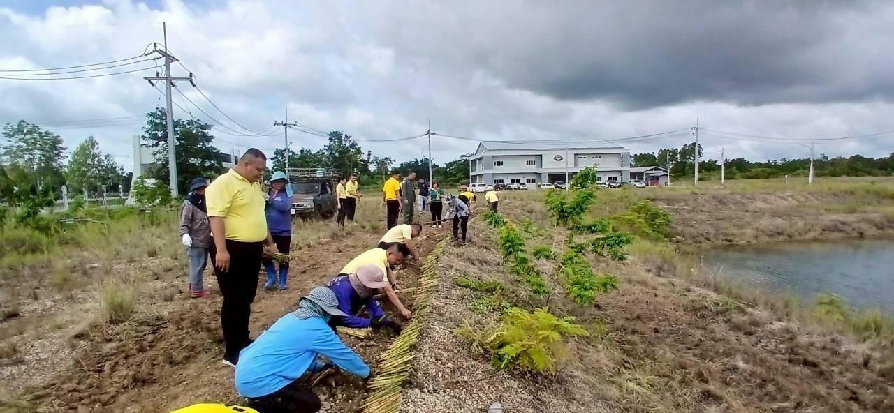 ภาพประกอบที่ 8