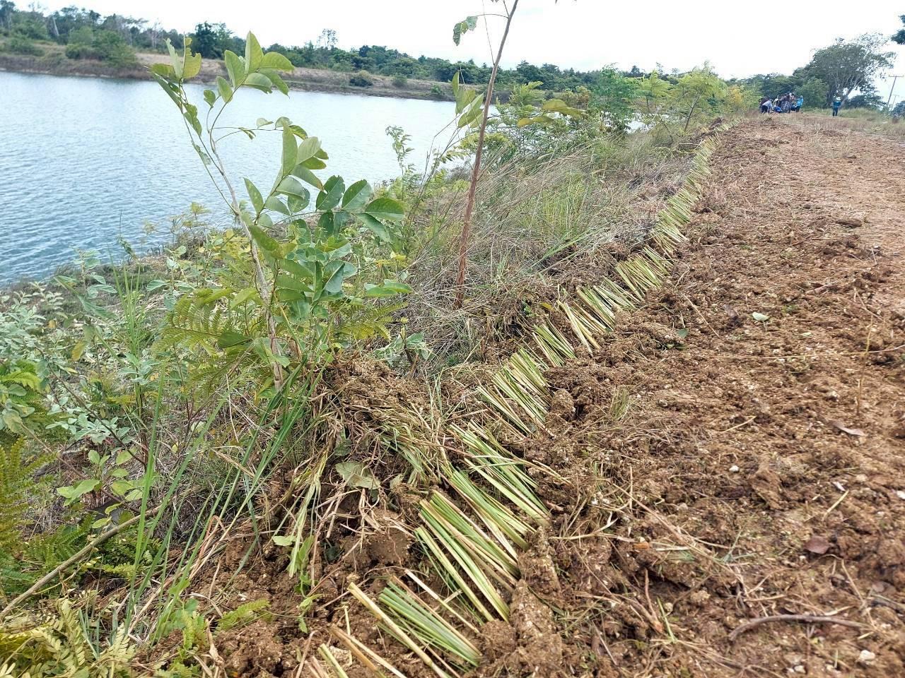 ภาพประกอบที่ 11