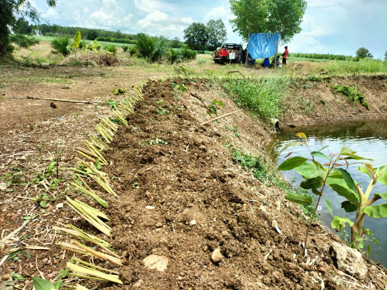 ภาพประกอบที่ 1