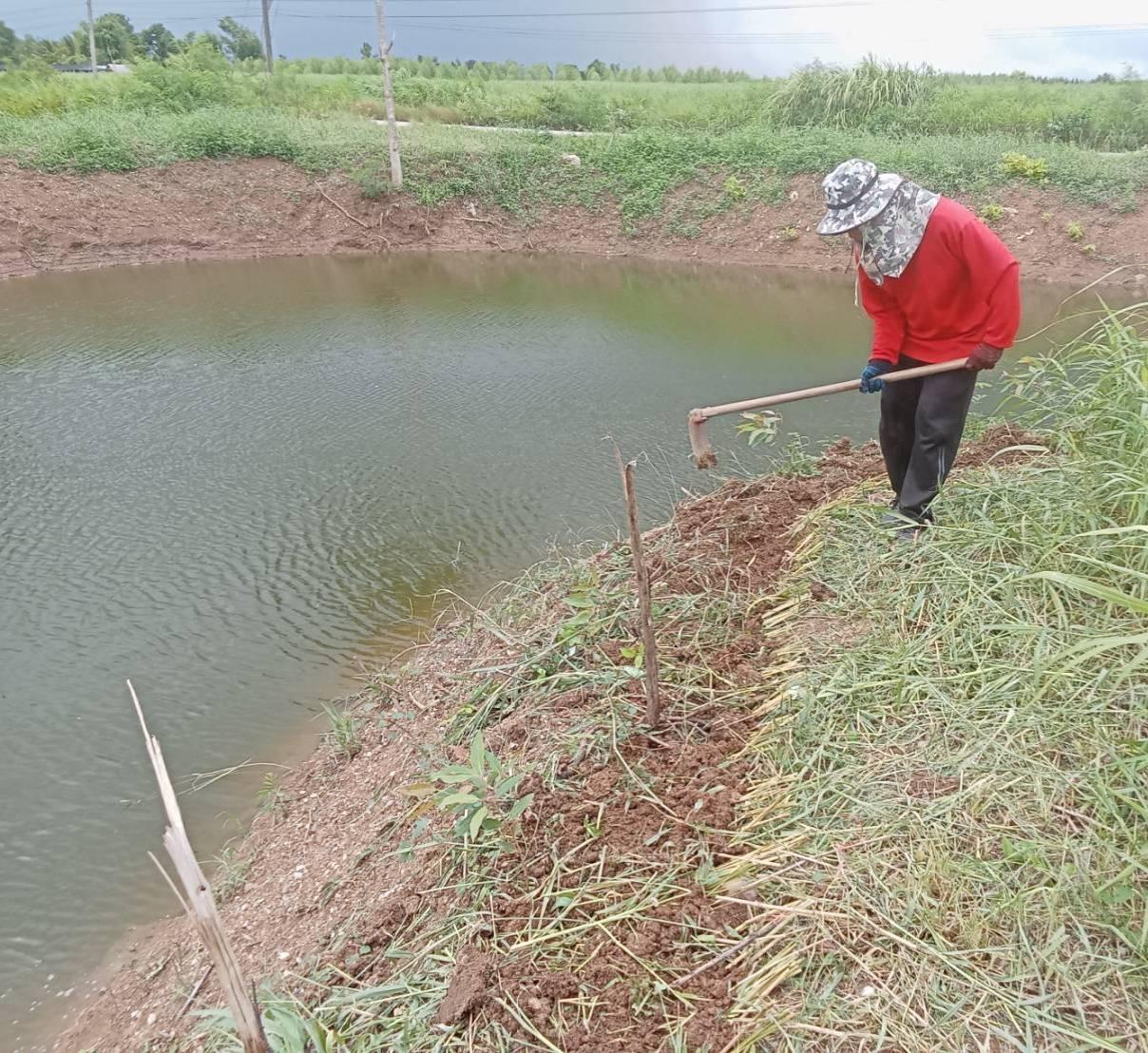 ภาพประกอบที่ 2