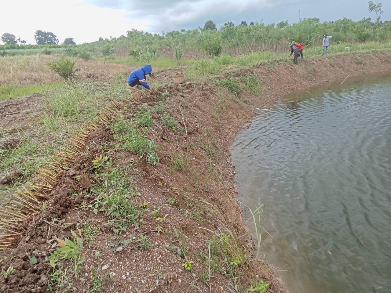 ภาพประกอบที่ 3