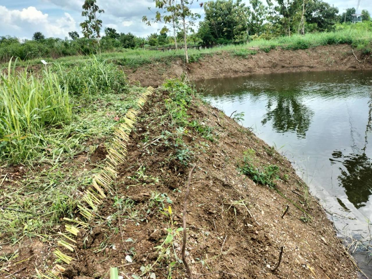 ภาพประกอบที่ 4