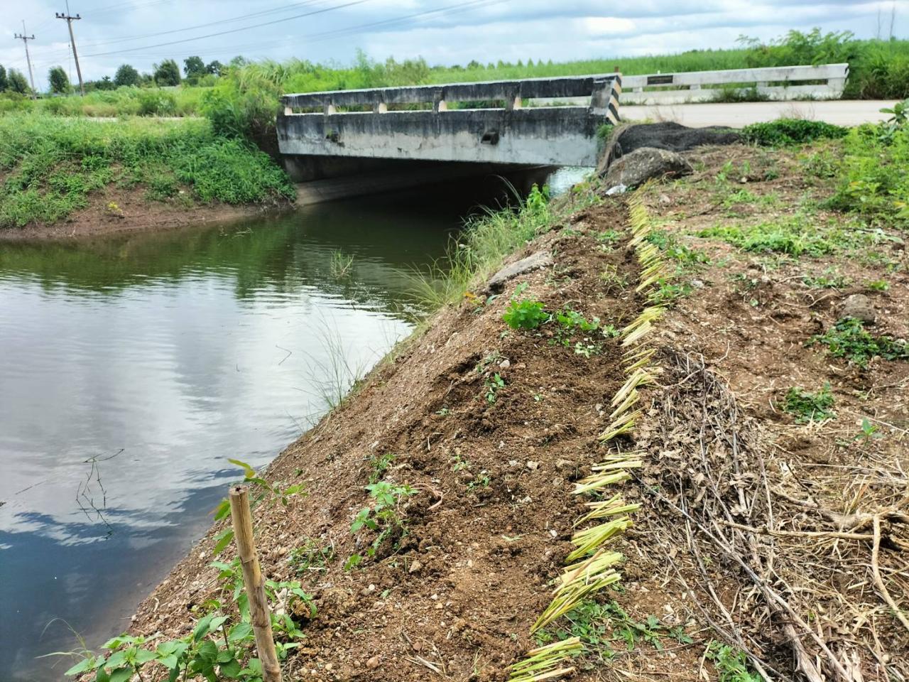 ภาพประกอบที่ 5
