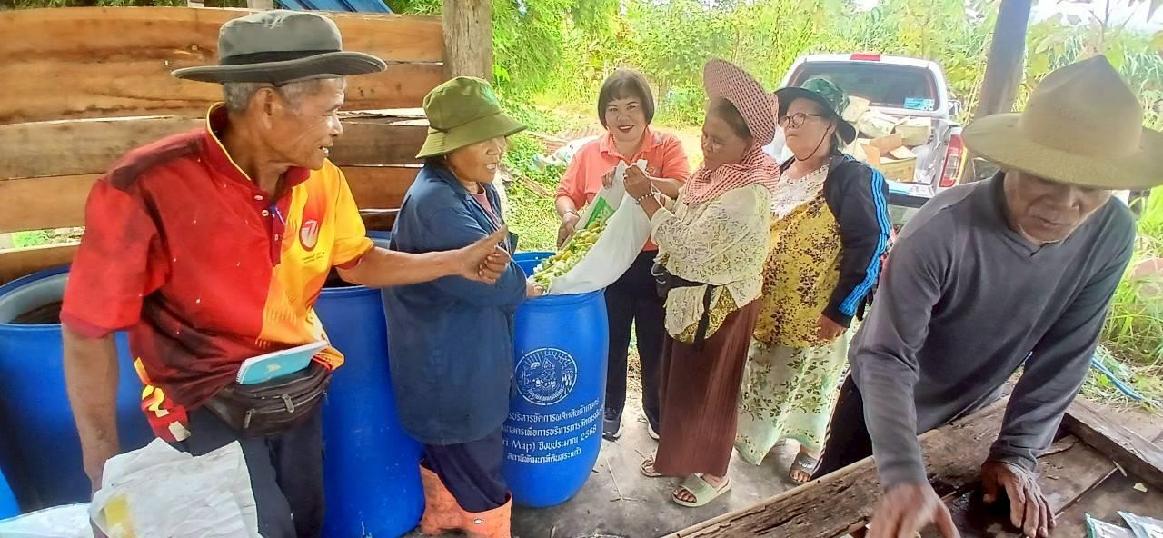 ภาพประกอบที่ 1