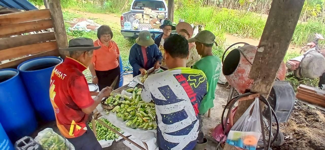 ภาพประกอบที่ 2