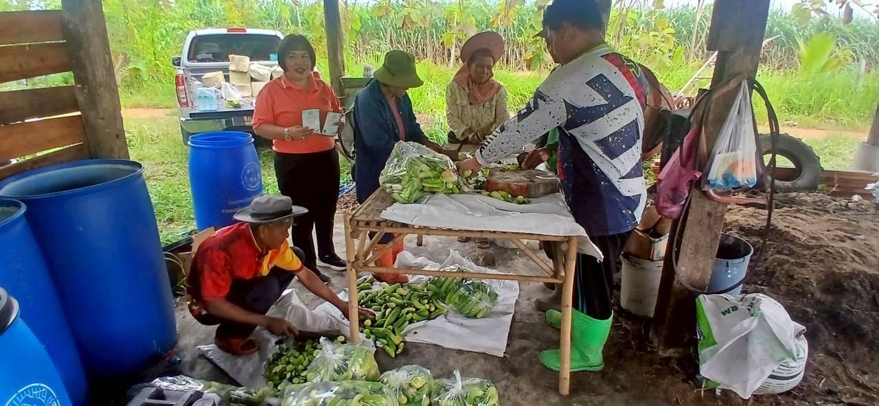 ภาพประกอบที่ 3