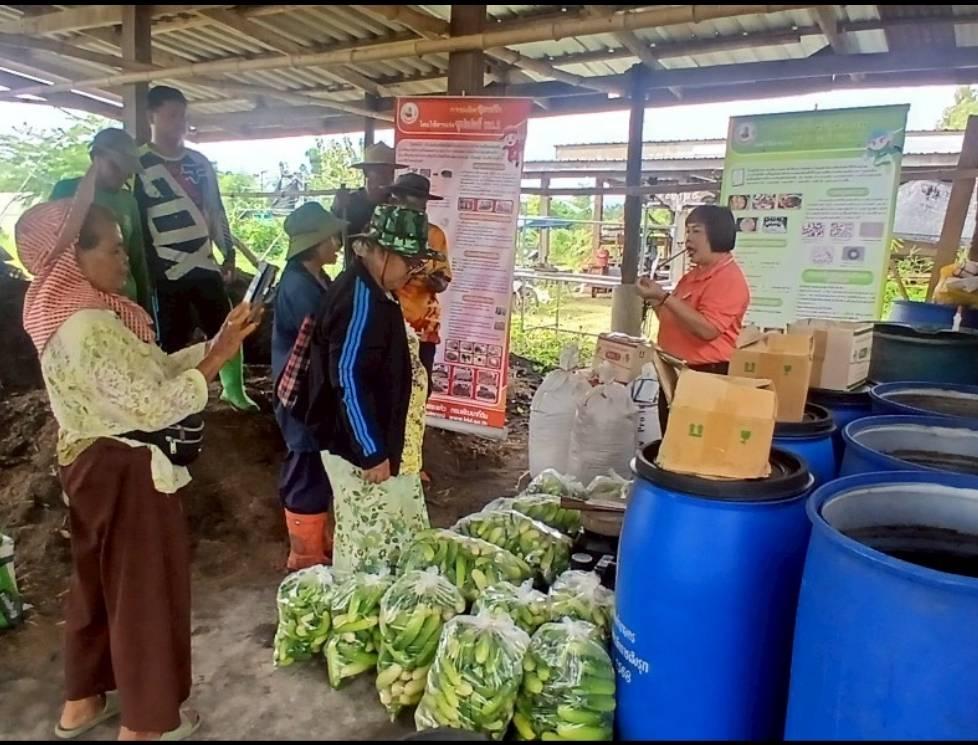 ภาพประกอบที่ 4
