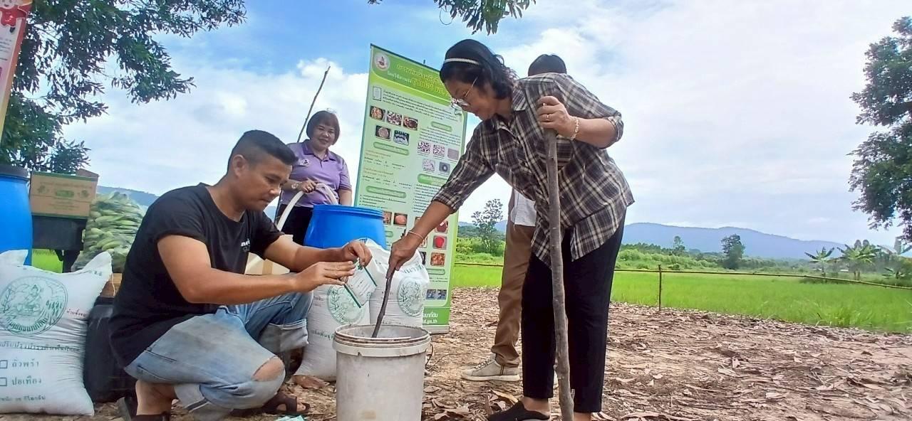 ภาพประกอบที่ 3